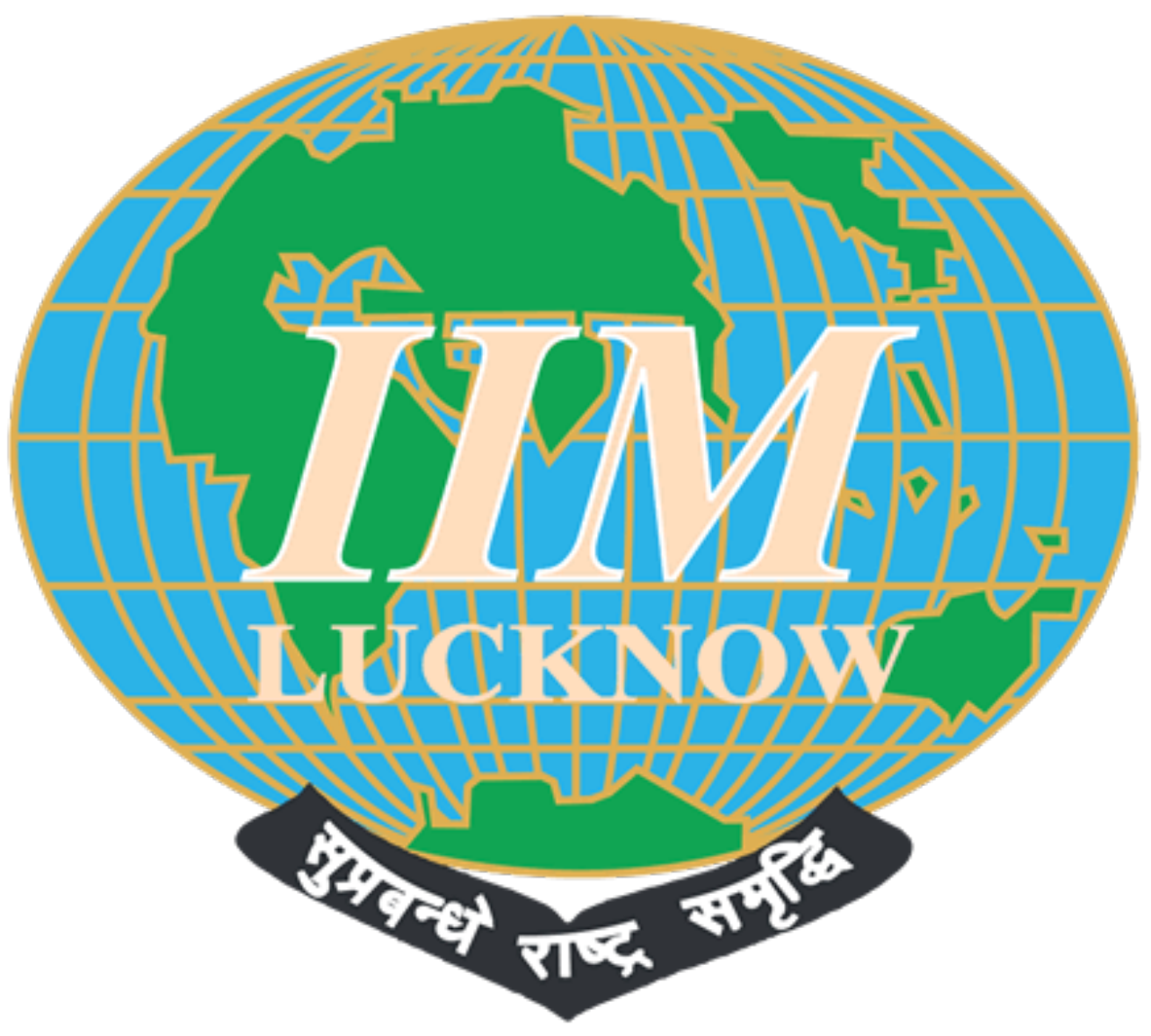 IIM company logo - Professional Experience at IIM